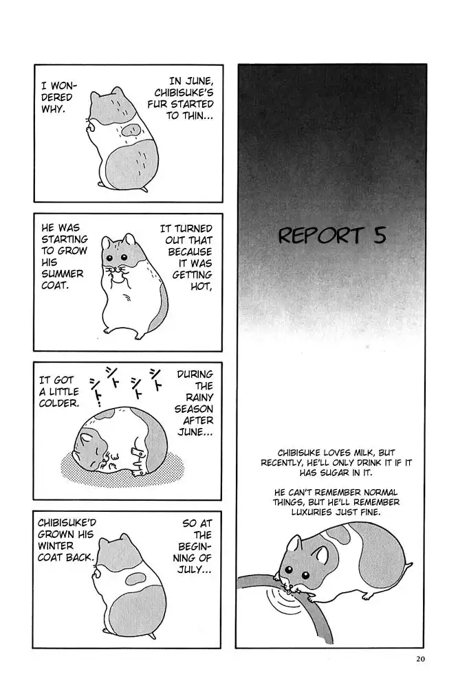 Hamster no Kenkyuu Report Chapter 2 7